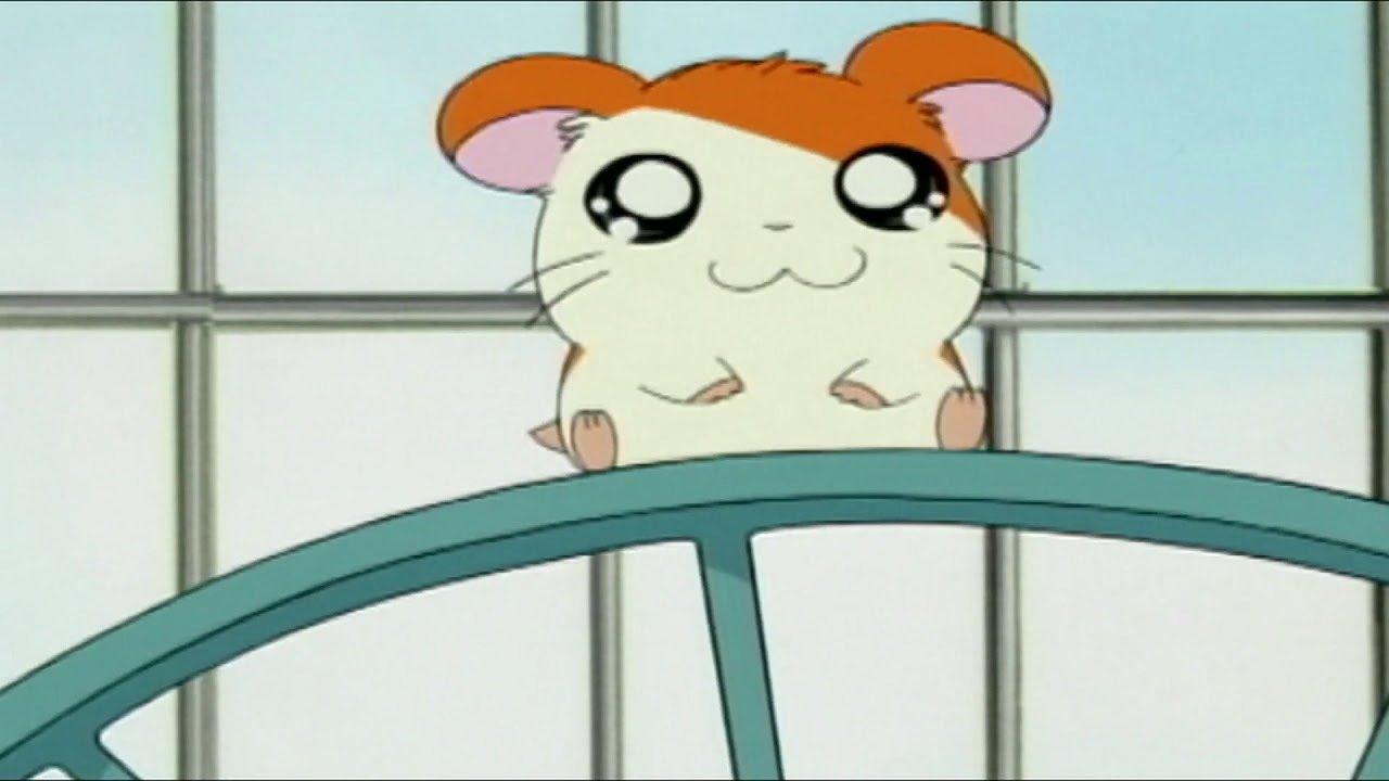 Hamtaro backdrop
