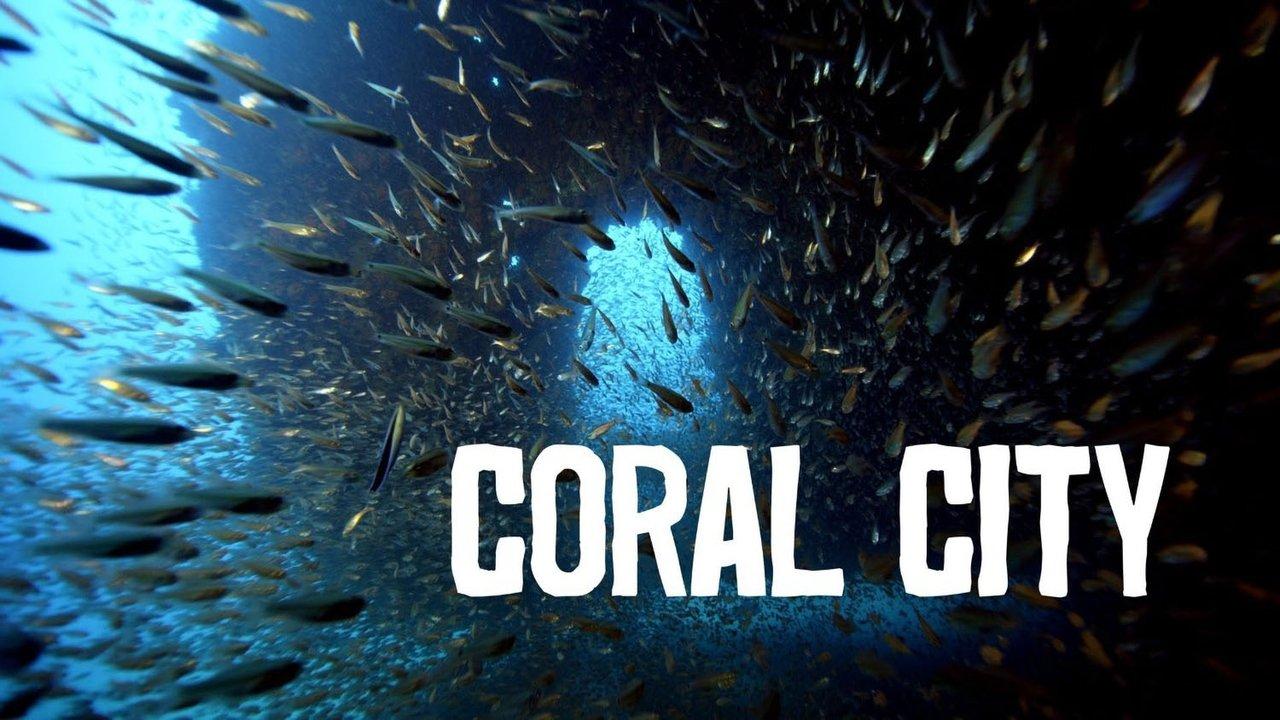 Coral City backdrop