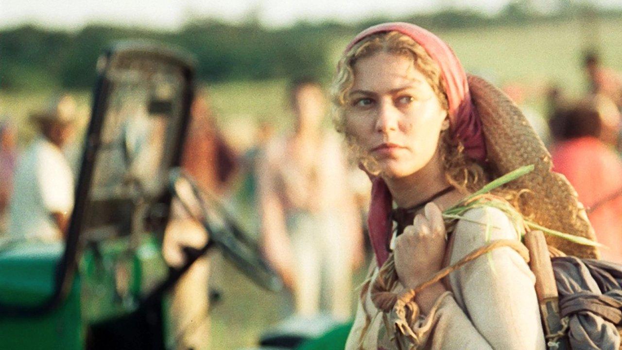 The King of The Cattle backdrop