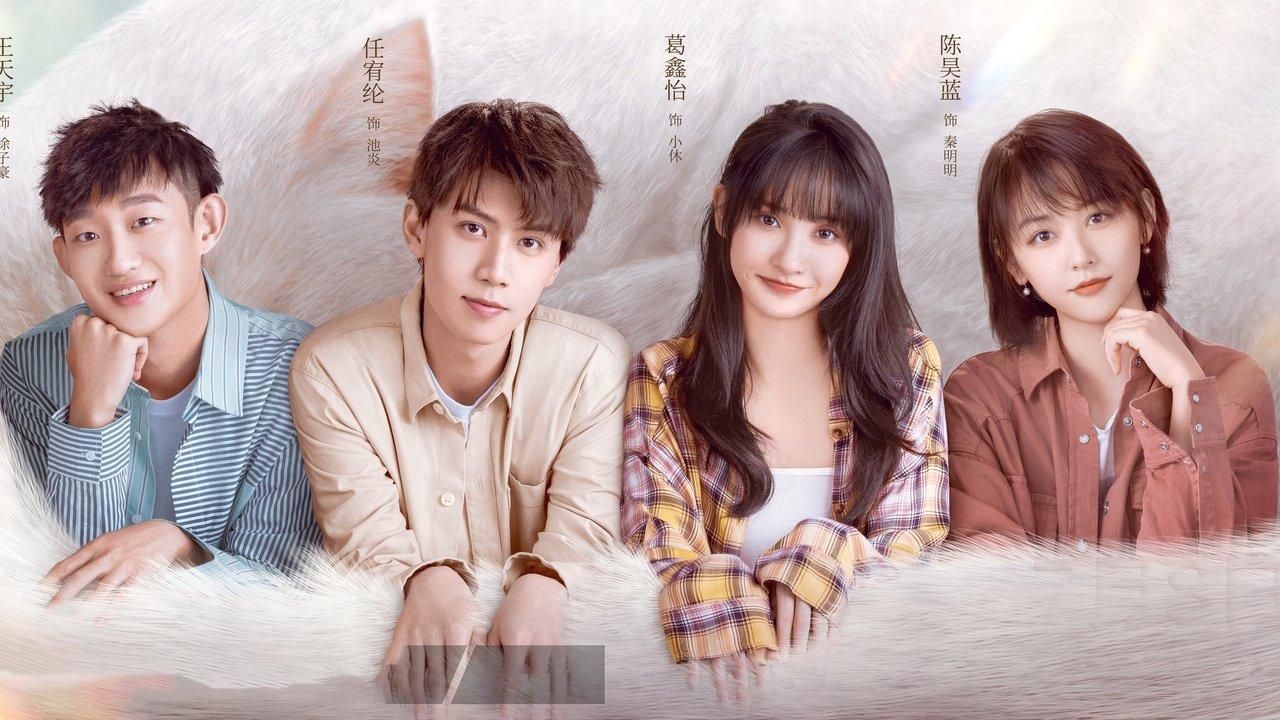 Make a Wish backdrop