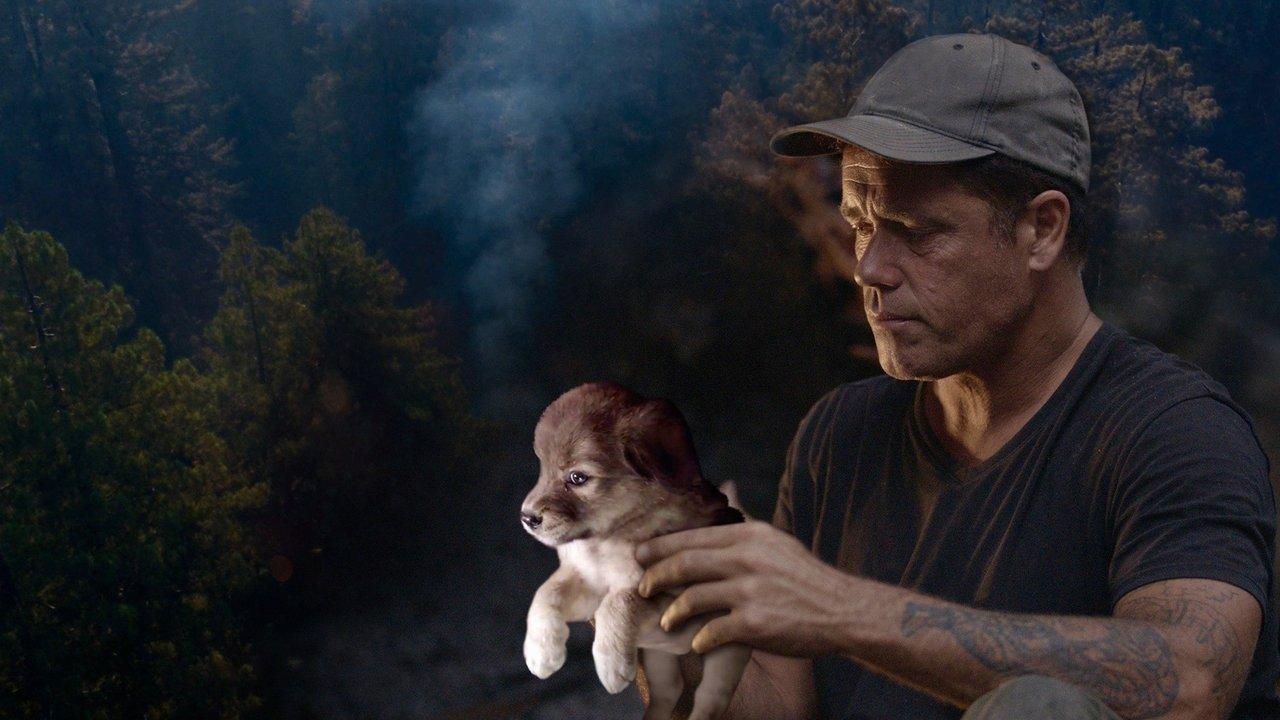 Doug to the Rescue backdrop