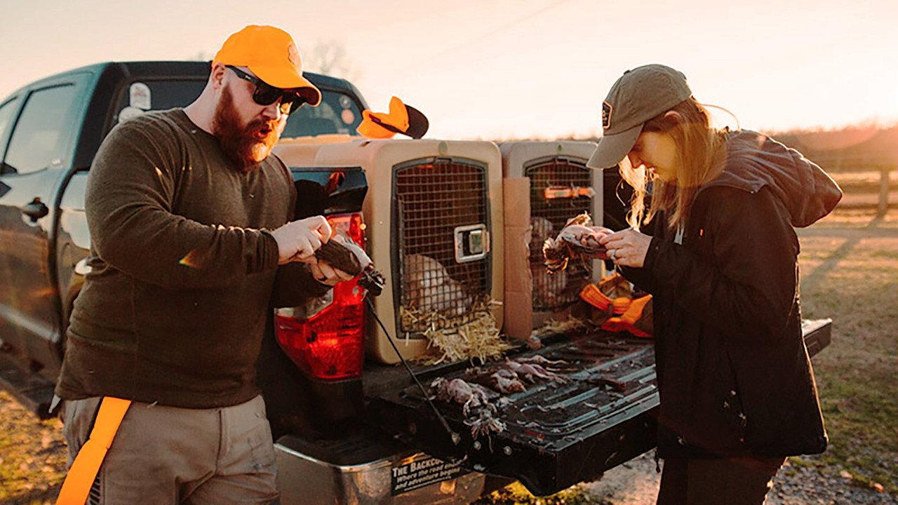 Wild + Whole Sourced backdrop