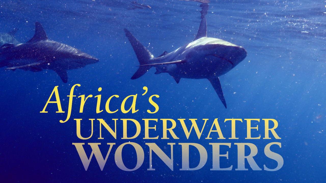 Africa's Underwater Wonders backdrop