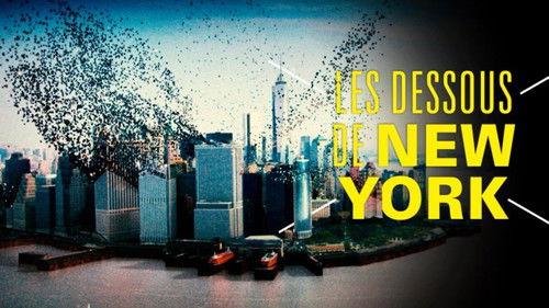 Science grand format Season 1 Episode 8 - Episode 8