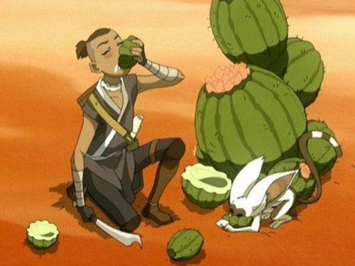 Avatar: The Last Airbender Season 2 Episode 11 - The Desert