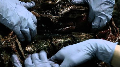 Falling Skies Season 1 Episode 8 - What Hides Beneath