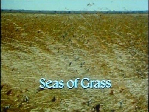 The Living Planet Season 1 Episode 5 - Seas of Grass
