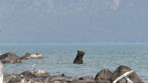 Alone Season 8 Episode 2 - Open Season