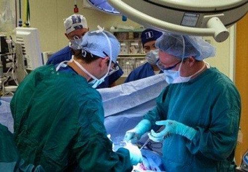 NOVA Season 36 Episode 15 - Doctors' Diaries Pt.1