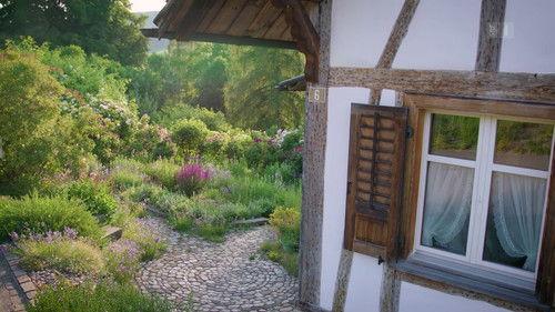 Hinter den Hecken Season 1 Episode 9 - A natural garden