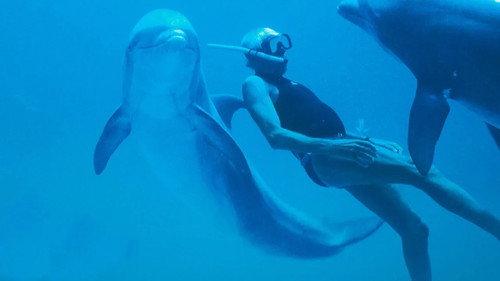 Ulisse - The Pleasure of Discovery Season 6 Episode 8 - Man and the Sea