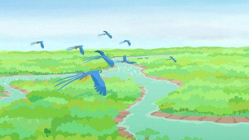 Wild Kratts Season 6 Episode 10 - Amazin' Amazon Adventure