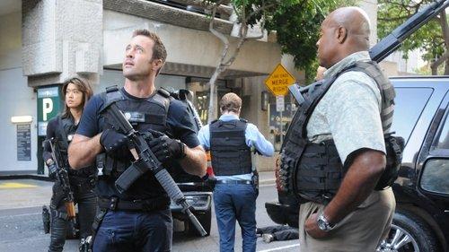 Hawaii Five-0 Season 6 Episode 24 - Paʻa ka ʻipuka i ka ʻupena nananana (The Entrance Is Stopped with a Spider's Web)