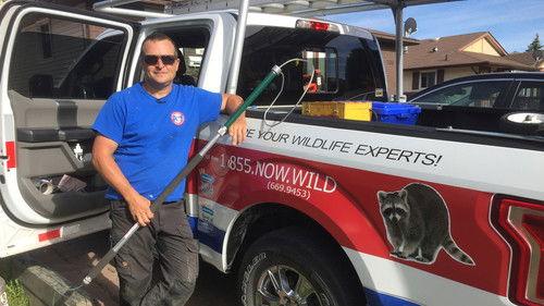 Louis and the Urban Jungle Season 1 Episode 5 - Episode 5