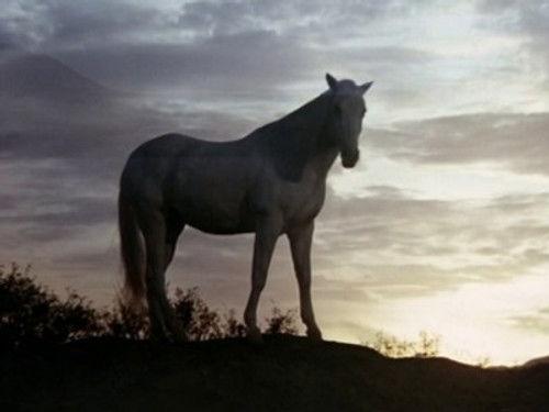 Highway to Heaven Season 4 Episode 10 - A Dream of Wild Horses