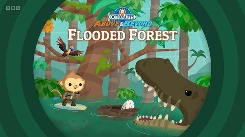 Octonauts: Above & Beyond Season 3 Episode 4 - Flooded Forest