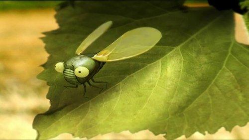Minuscule: The Private Life of Insects Season 1 Episode 12 - Nap Time