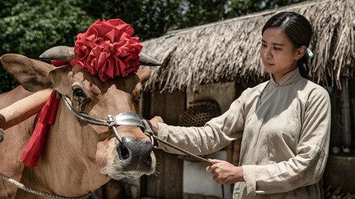 Oxcart Trails Season 1 Episode 8 - Episode 8