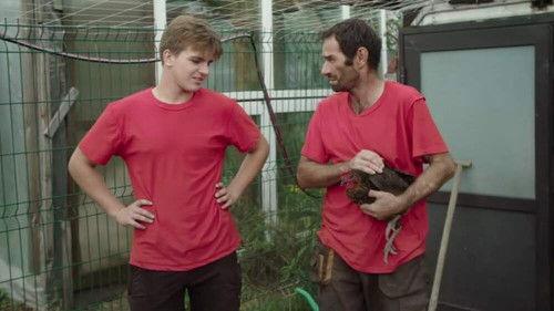 Dobra Robota Season 4 Episode 16 - Episode 16