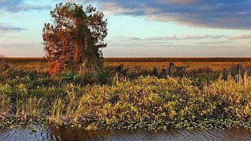 Natural World Season 17 Episode 13 - Everglades: to Hell and Back