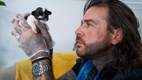 Pete Wicks: For Dogs’ Sake Season 1 Episode 2 - The Potato Pups