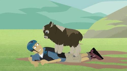 Wild Kratts Season 4 Episode 22 - Baby Tooth and Kid Musky