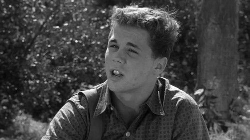 Leave It to Beaver Season 4 Episode 3 - Beaver Becomes a Hero