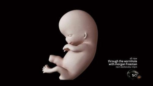 Through the Wormhole Season 4 Episode 2 - When Does Life Begin?