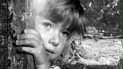 Poly Season 4 Episode 10 - Episode 10