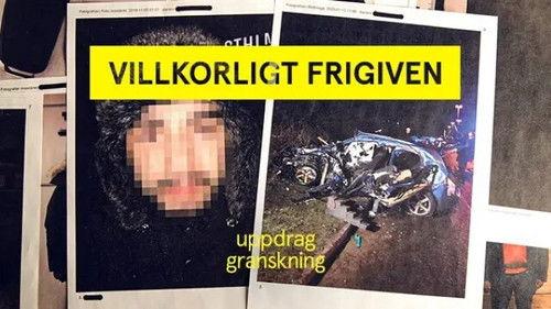 Uppdrag granskning Season 21 Episode 15 - Episode 15