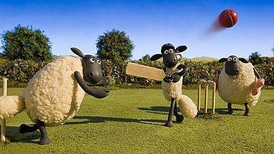 Shaun the Sheep Season 4 Episode 15 - Wildlife Watch