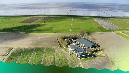 Pointer Season 6 Episode 10 - Onder de Waddenzee ligt een pot met goud verstopt