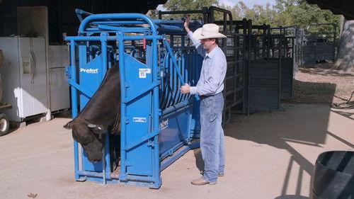 How It's Made Season 32 Episode 2 - Custom Shoe Trees; Clay Targets; Squeeze Chutes; Composite Boat Propellers