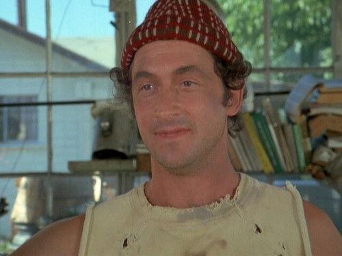 Eight Is Enough Season 3 Episode 10 - War Between the Bradfords