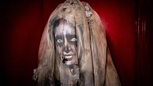 Wellington Paranormal Season 3 Episode 3 - Fear Factory