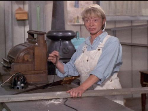 Green Acres Season 5 Episode 13 - Beauty is Skin Deep