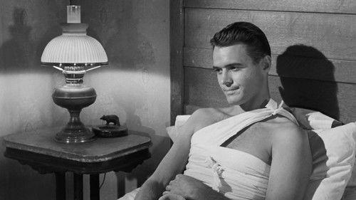 Cheyenne Season 6 Episode 9 - The Brahma Bull