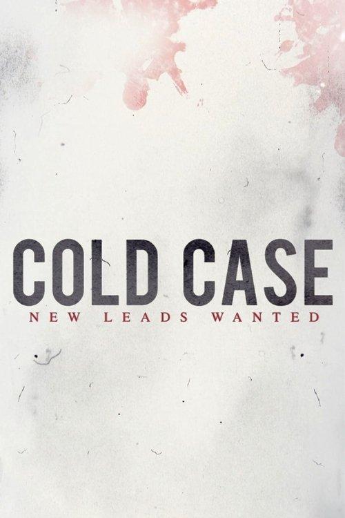 Cold Case poster