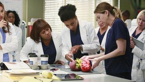 Grey's Anatomy Season 11 Episode 10 - The Bed's Too Big Without You