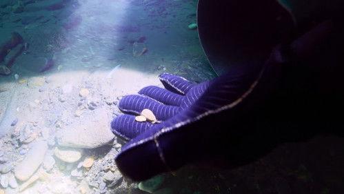 Bering Sea Gold Season 14 Episode 10 - Legend vs. Underdog