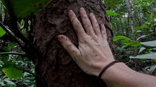 7 vs. Wild Season 5 Episode 3 - Episode 3