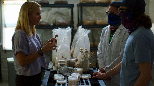 Trafficked with Mariana van Zeller Season 3 Episode 2 - LSD