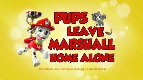 undefined Season 2 Episode 21 - Pups Leave Marshall Home Alone