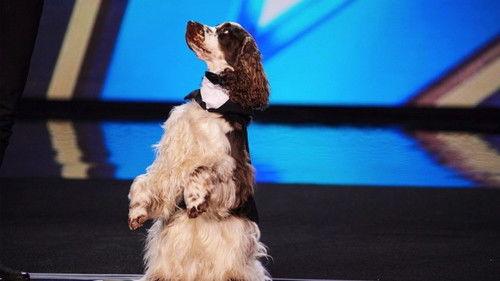 Britain's Got Talent Season 16 Episode 4 - Auditions 4