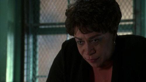 Law & Order Season 16 Episode 21 - Hindsight