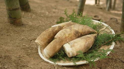 Trails to Oishii Tokyo Season 4 Episode 10 - TAKENOKO