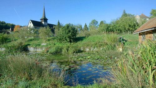 Hinter den Hecken Season 2 Episode 7 - In a monastery garden