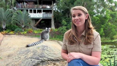 Crikey! It's the Irwins Season 1 Episode 5 - Bindi's Lemur Island