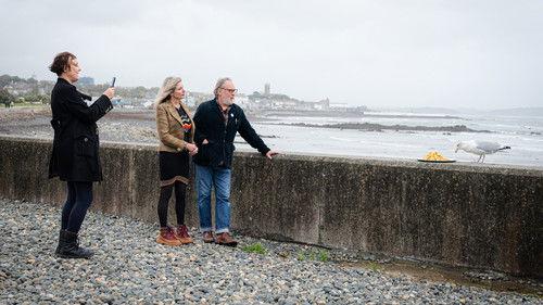 Painting Birds with Jim and Nancy Moir Season 1 Episode 2 - Cornwall