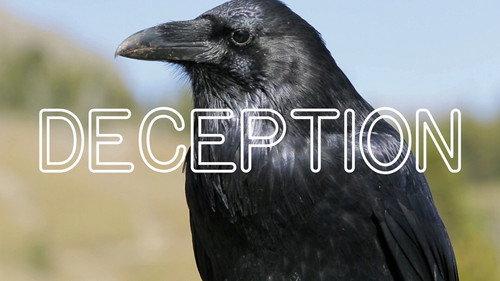 Frick, I Love Nature Season 1 Episode 6 - Can Animals be Deceptive?